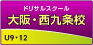 ドリサル・西九条校