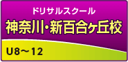 ドリサル・新百合ヶ丘校
